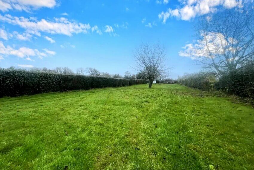 Picture-86461710-13 (1)