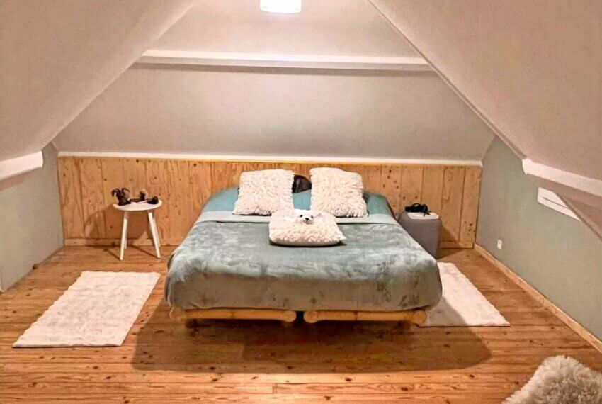 Picture-86662476-4 (1)