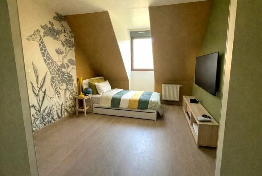 Picture-86844620-12 (1)