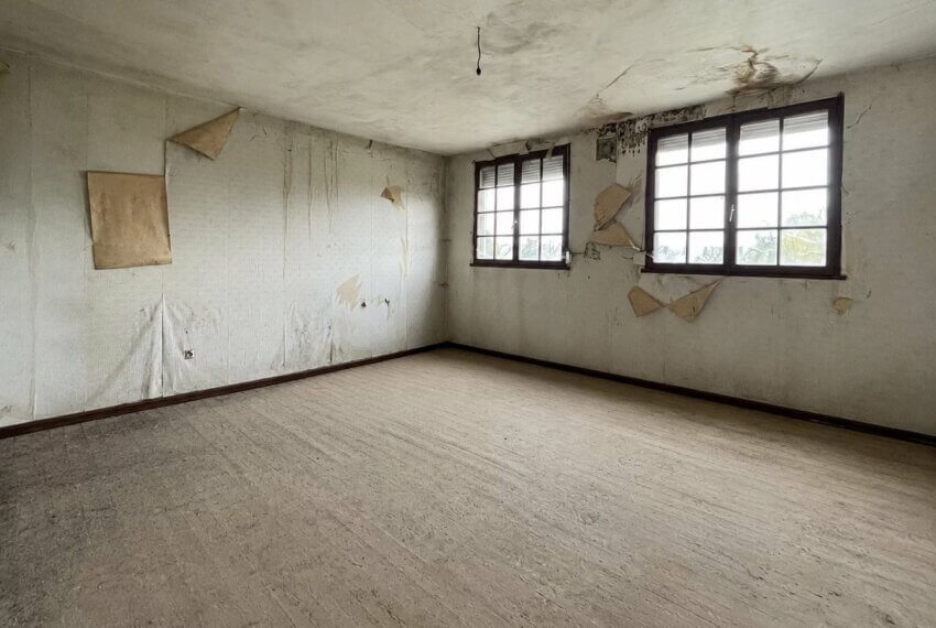 Picture-87085988-3